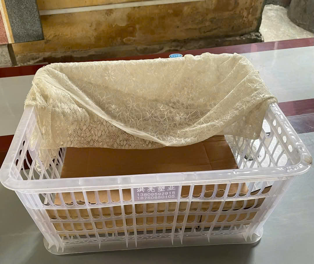 B&eacute; g&aacute;i sơ sinh c&ograve;n nguy&ecirc;n d&acirc;y rốn bị bỏ rơi tại điếm canh đ&ecirc;- Ảnh 2.