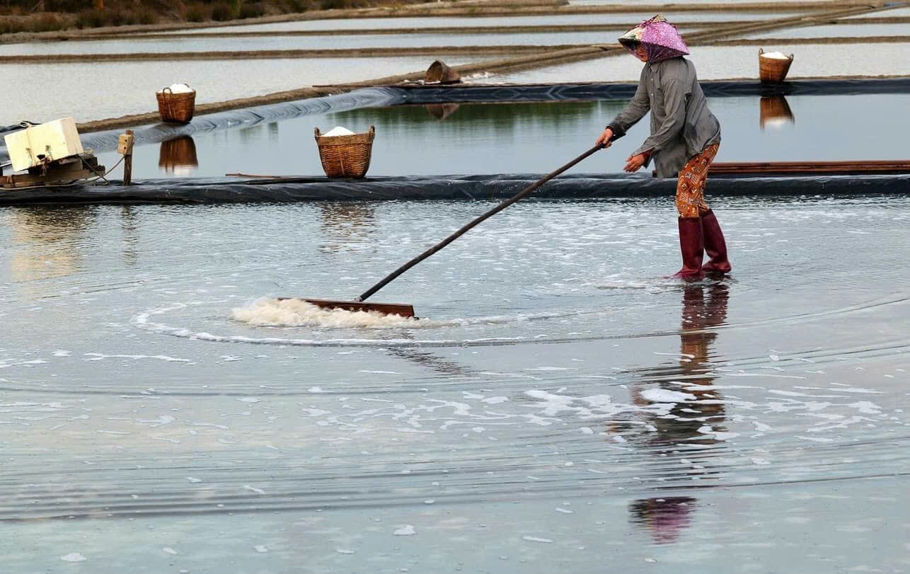 Di&ecirc;m d&acirc;n Cần Giờ phấn khởi v&igrave; muối tăng gi&aacute; đầu năm- Ảnh 3.