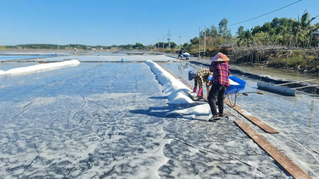 Di&ecirc;m d&acirc;n Cần Giờ phấn khởi v&igrave; muối tăng gi&aacute; đầu năm- Ảnh 2.