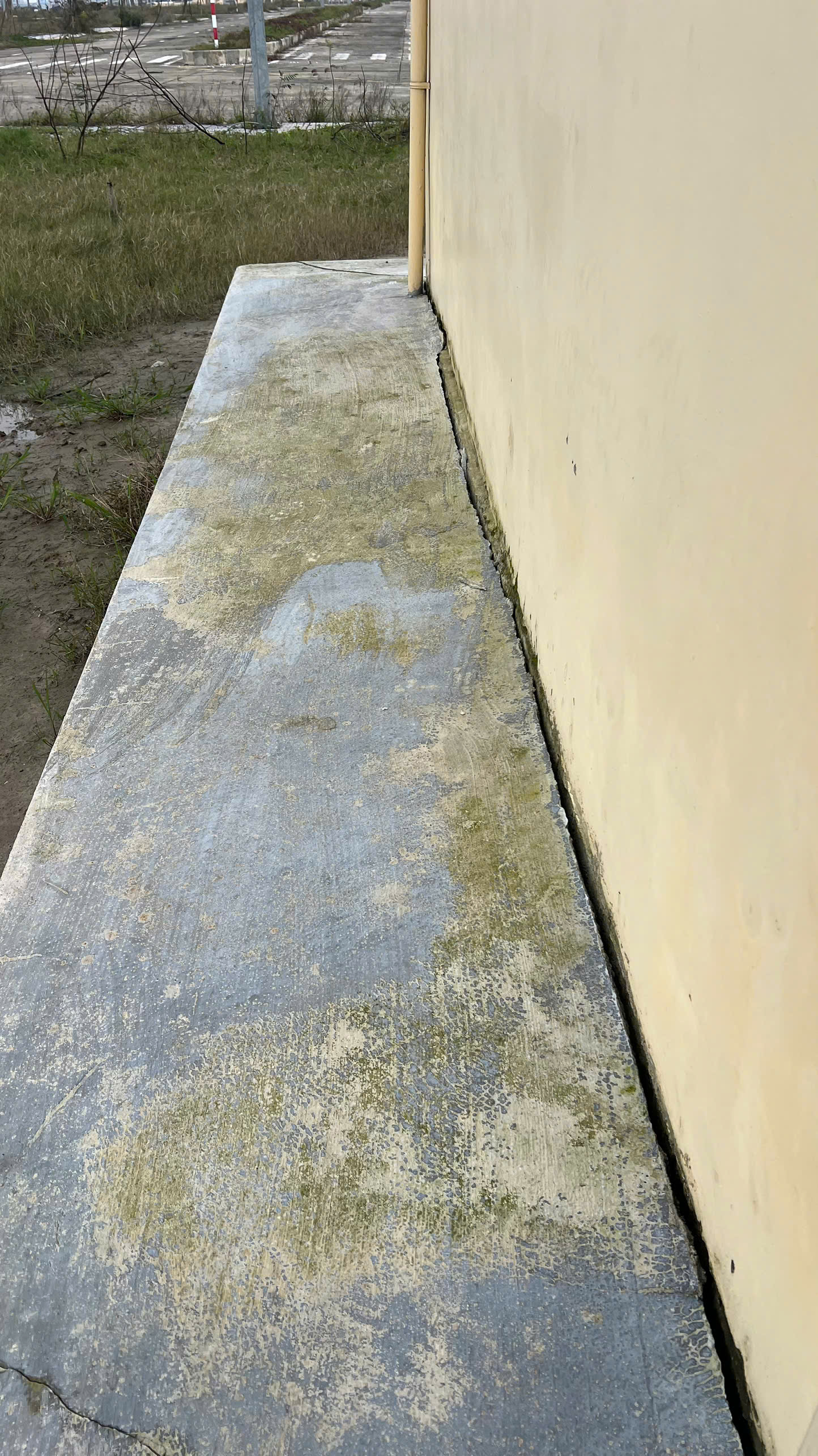 Tường nứt, nền l&uacute;n ở cảng c&aacute; 220 tỉ đồng mới ho&agrave;n thiện thi c&ocirc;ng- Ảnh 11.