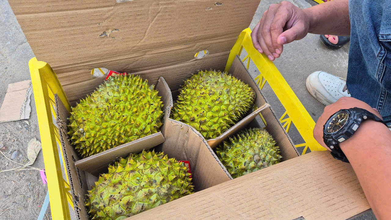 Sầu ri&ecirc;ng vừa đ&oacute;n tin vui từ Trung Quốc- Ảnh 1.