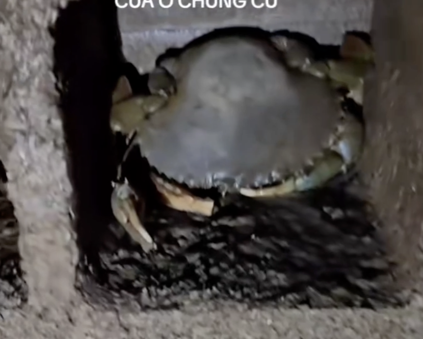 Ch&agrave;ng trai ở Tr&agrave; Vinh x&acirc;y 