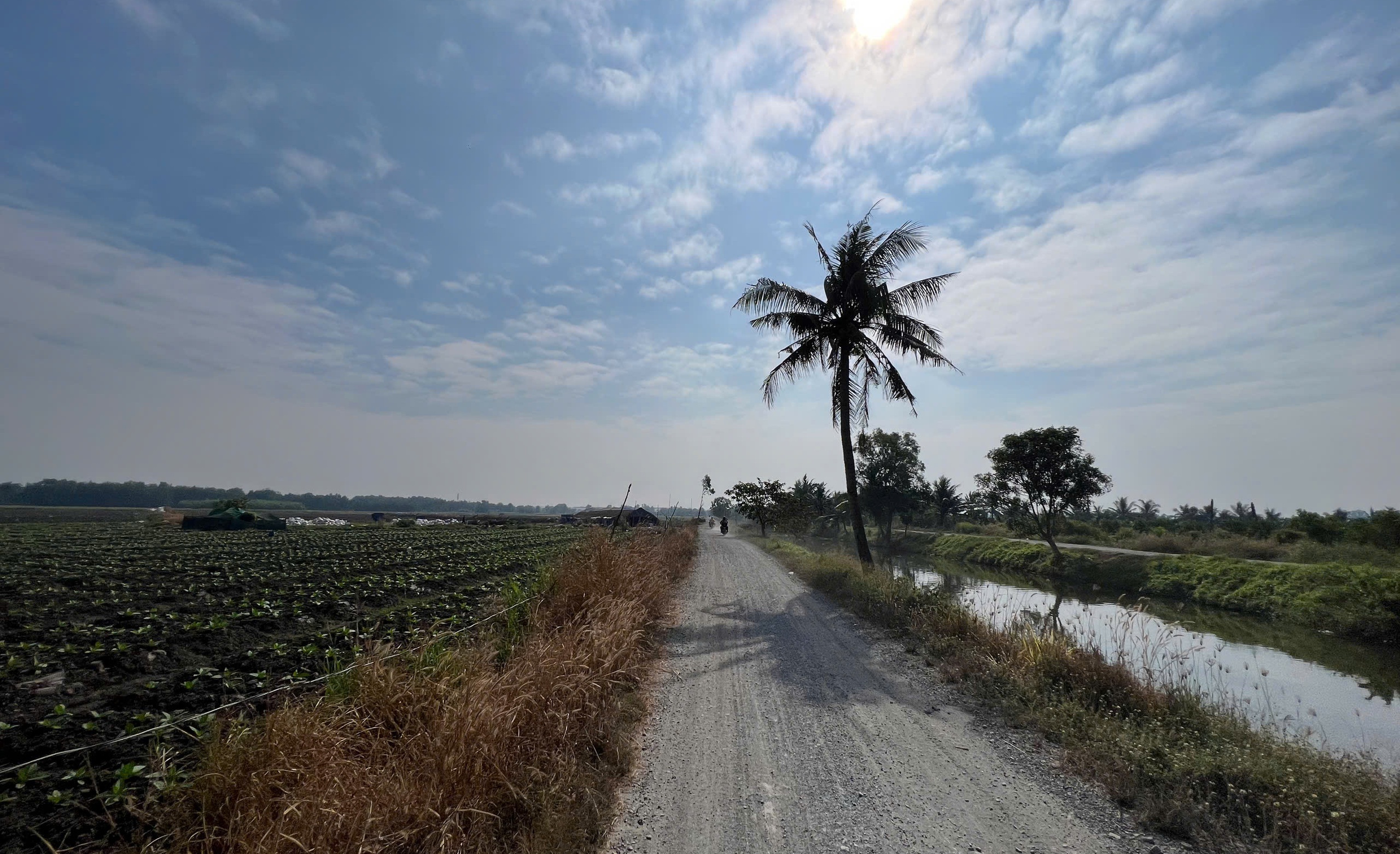 Giải Half-marathon "Tự h&agrave;o Tổ quốc t&ocirc;i" lần 2-2025: Vượt qua bản th&acirc;n, chinh phục th&aacute;ch thức- Ảnh 6.