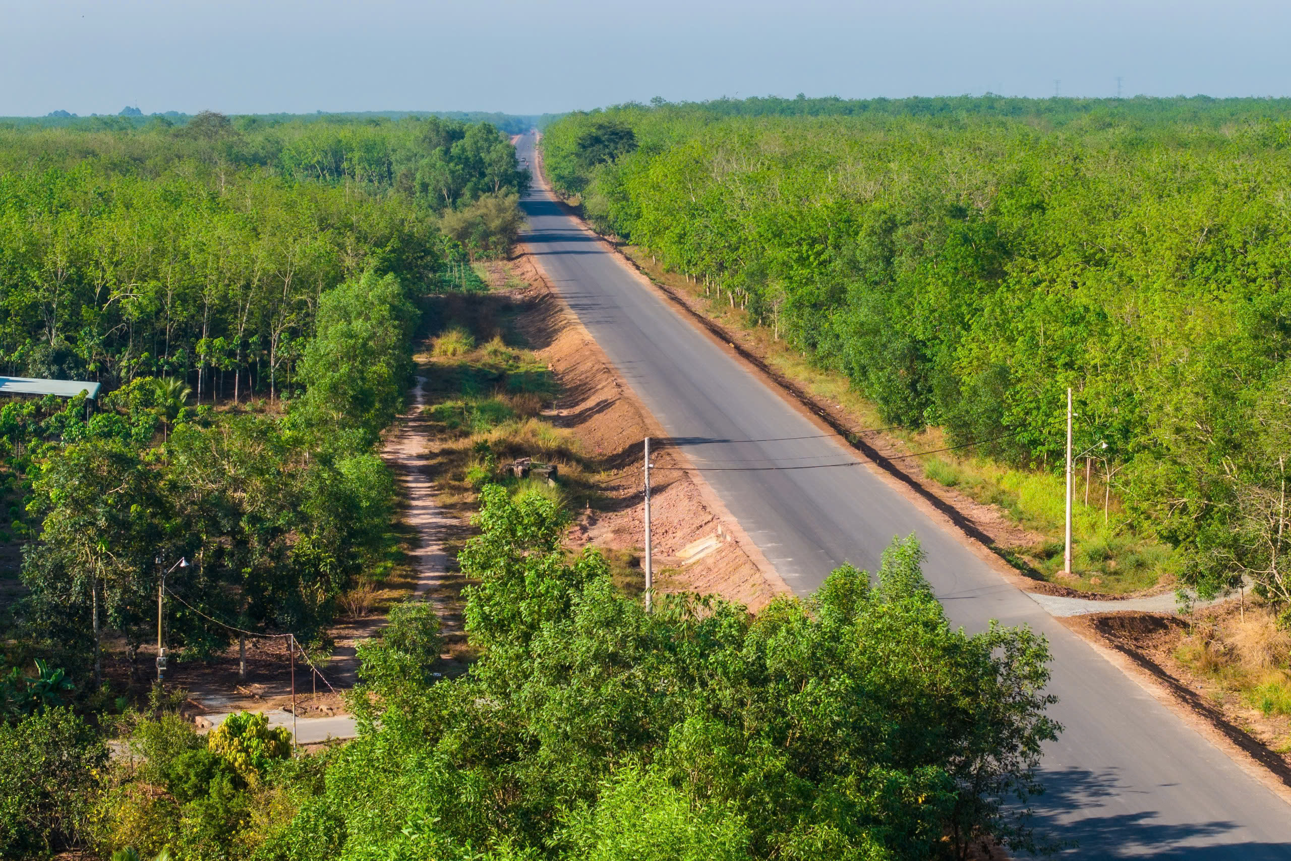 Cận cảnh đường Hồ Ch&iacute; Minh qua tỉnh B&igrave;nh Dương dự kiến th&ocirc;ng xe kỹ thuật dịp 30-4- Ảnh 1.