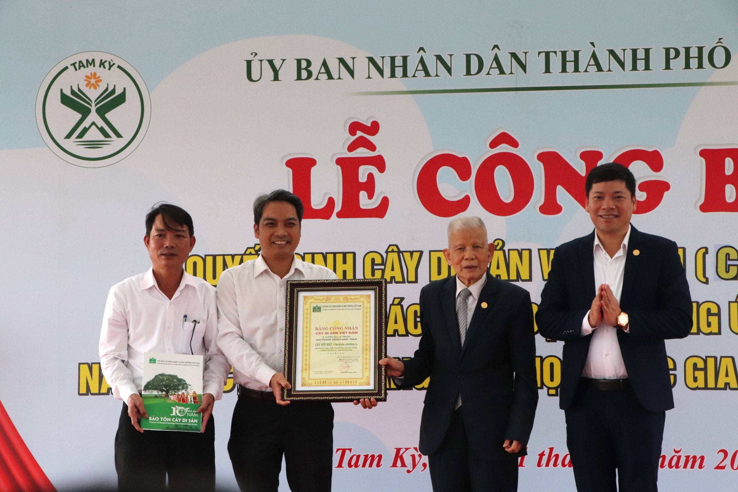 C&acirc;y rỏi mật hơn 500 năm tuổi ở Quảng Nam trở th&agrave;nh c&acirc;y di sản- Ảnh 4.