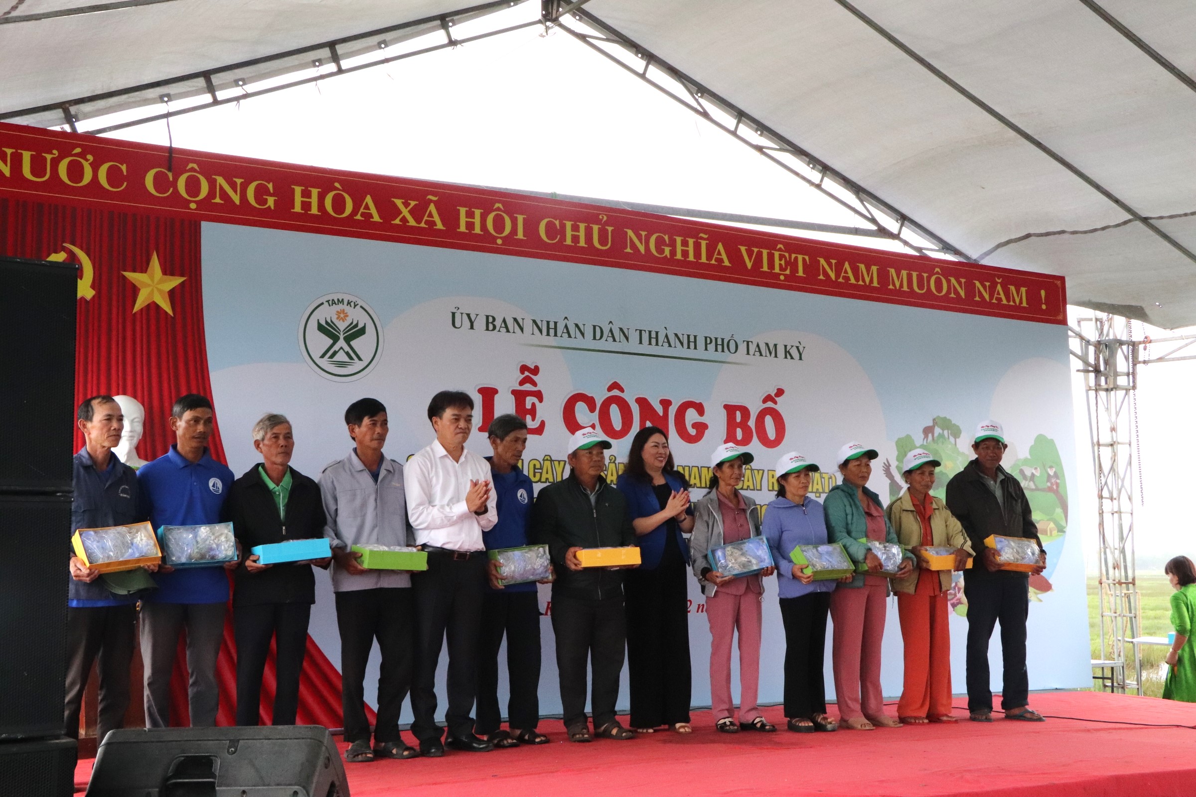 C&acirc;y rỏi mật hơn 500 năm tuổi ở Quảng Nam trở th&agrave;nh c&acirc;y di sản- Ảnh 3.