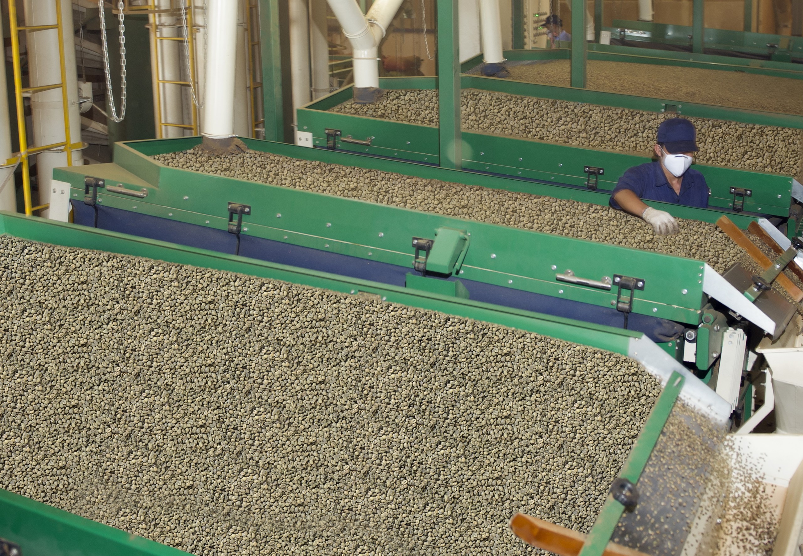 Gi&aacute; c&agrave; ph&ecirc; h&ocirc;m nay 21-2: Arabica v&agrave; Robusta c&ugrave;ng giảm mạnh- Ảnh 1.