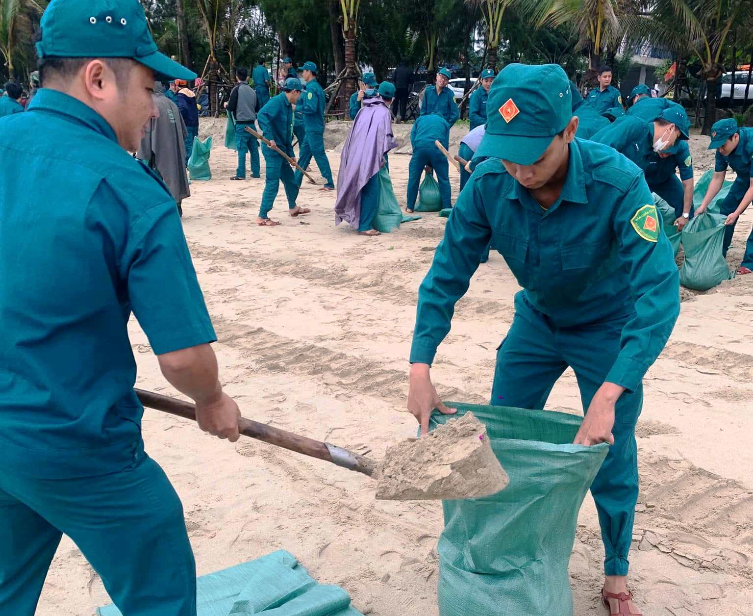 Huy động h&agrave;ng trăm người "cứu" b&atilde;i biển đẹp nhất Quảng Ng&atilde;i- Ảnh 3.