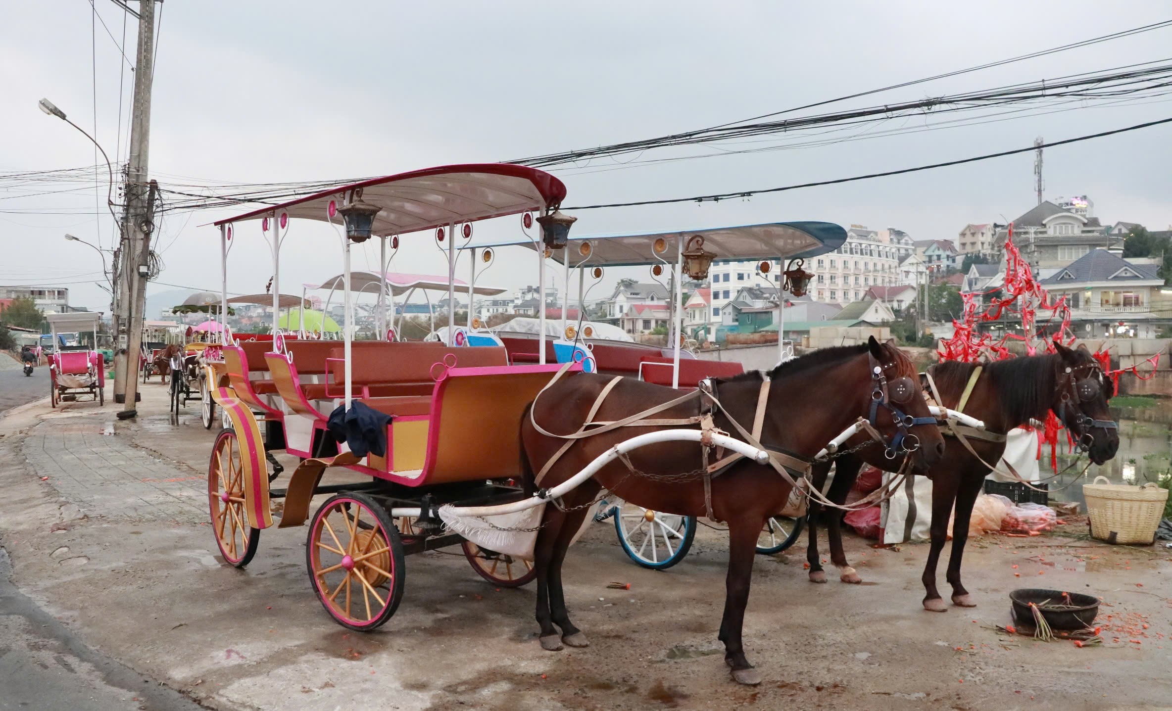 Đ&agrave; Lạt: Xe ngựa du lịch ngừng chạy ở hồ Xu&acirc;n Hương- Ảnh 1.