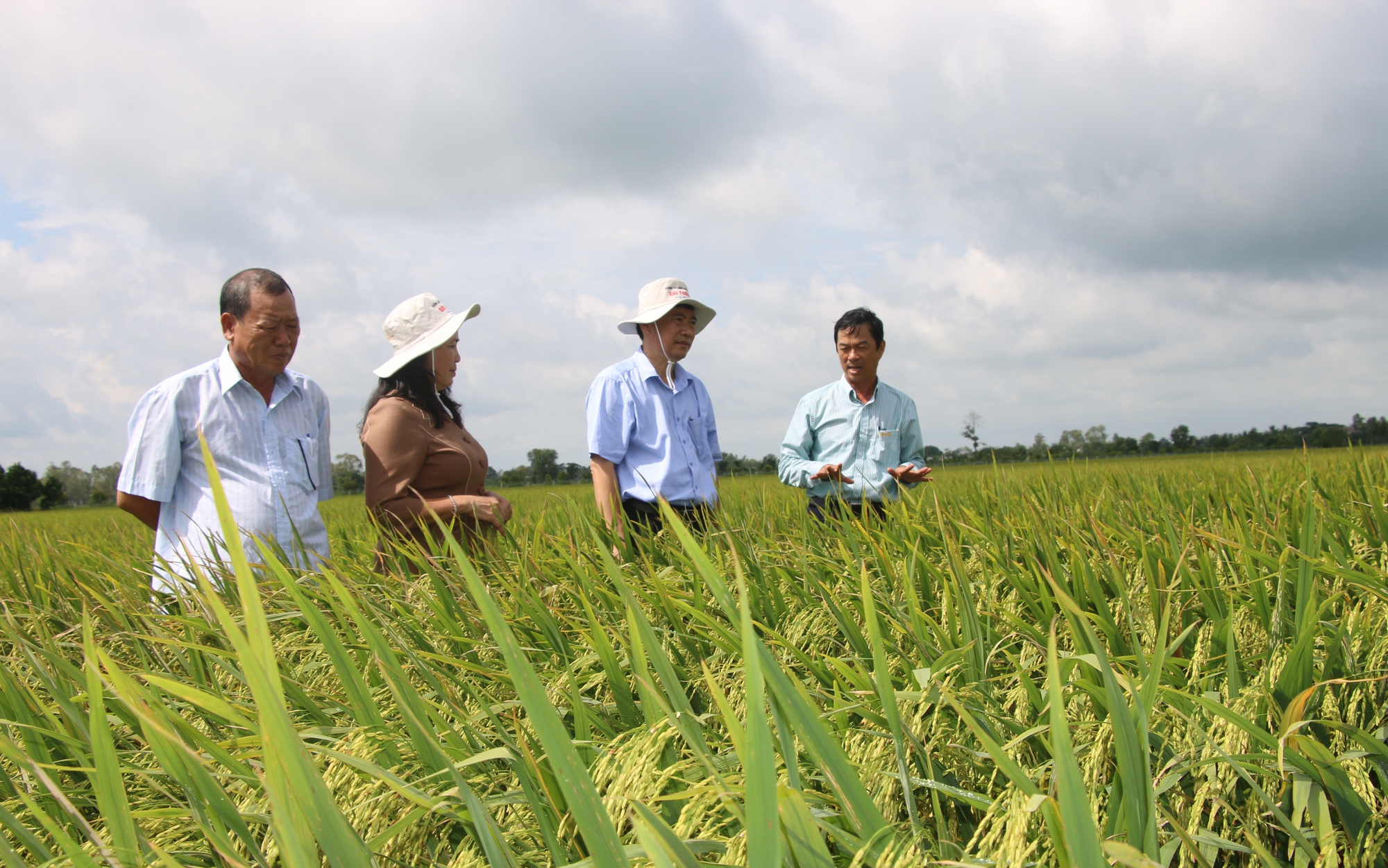 ĐẤT SEN HỒNG VƯƠN MÌNH TỎA SẮC: Doanh nghiệp phấn khởi, nông dân tự tin!