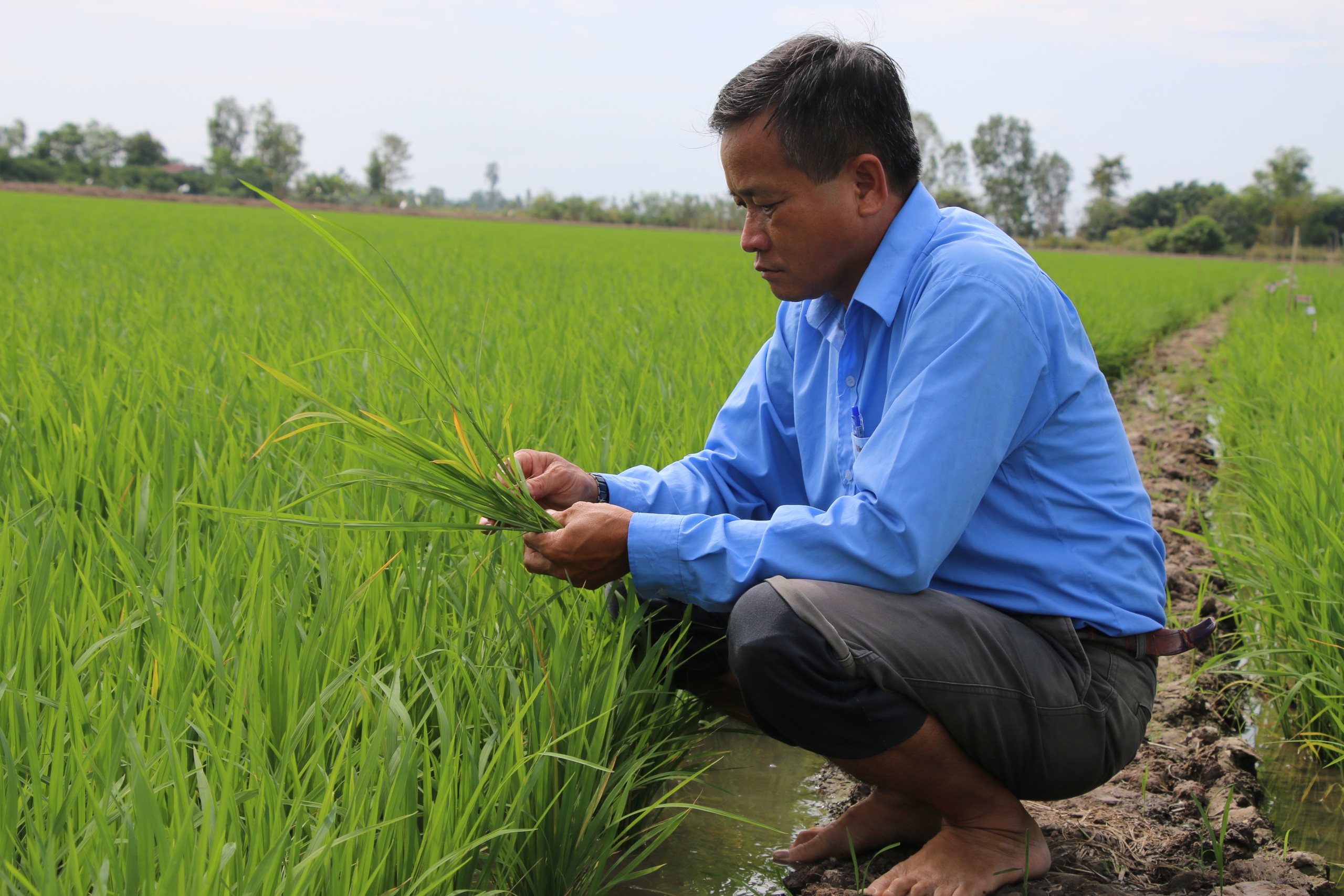ĐẤT SEN HỒNG VƯƠN M&Igrave;NH TỎA SẮC (*): Chung tay thực hiện kỳ vọng lớn- Ảnh 3.