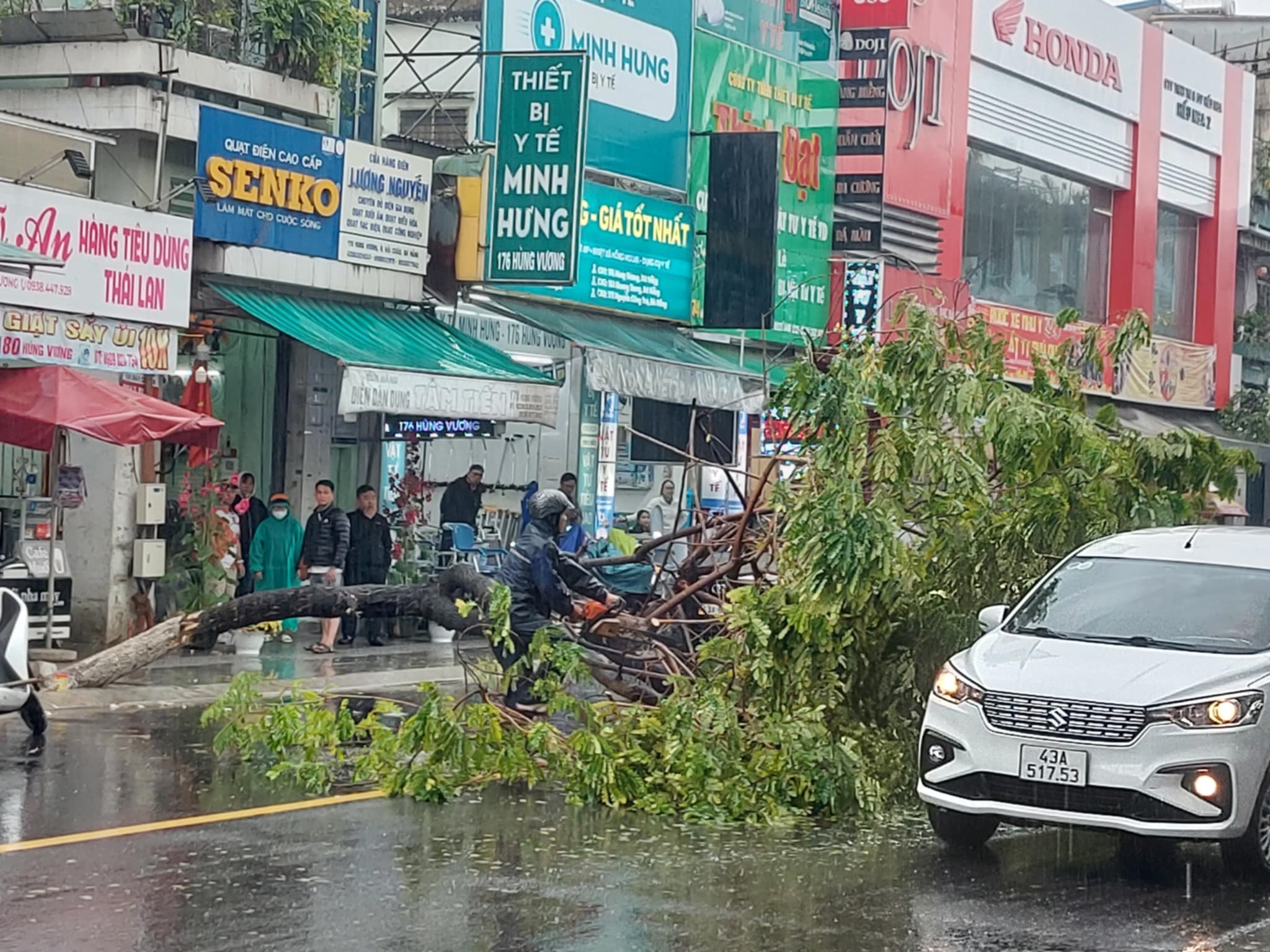 Mưa không lớn nhưng cây xanh bật gốc giữa trung tâm Đà Nẵng- Ảnh 1.