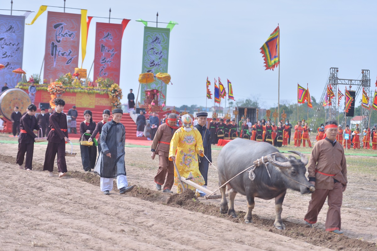 Một n&ocirc;ng d&acirc;n v&agrave;o vai nh&agrave; vua đi c&agrave;y ruộng- Ảnh 2.