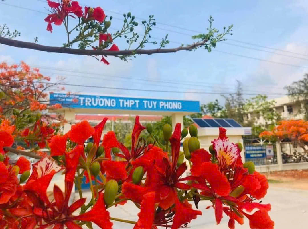 L&agrave;m r&otilde; th&ocirc;ng tin thầy gi&aacute;o cấp 3 bị "tố" x&acirc;m hại nữ sinh lớp 10- Ảnh 1.