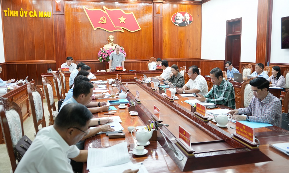 C&agrave; Mau tăng tốc c&aacute;c dự &aacute;n, c&ocirc;ng tr&igrave;nh trọng điểm- Ảnh 1.
