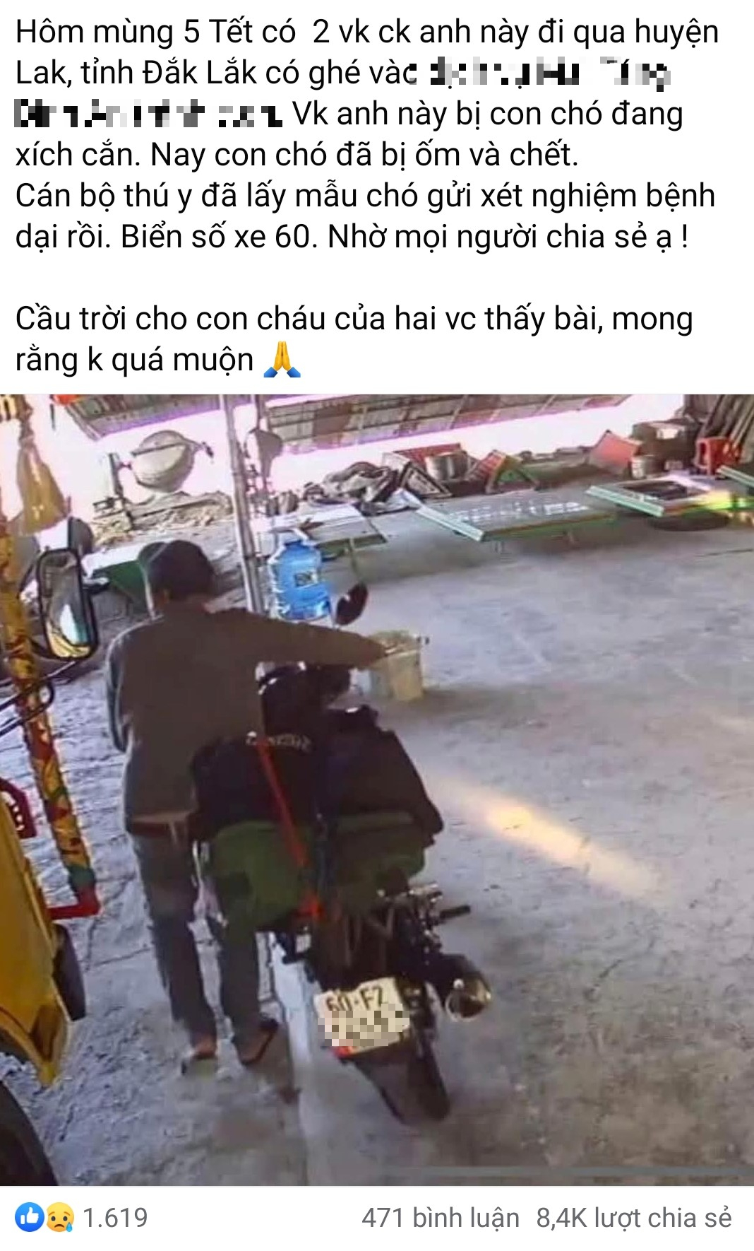 T&igrave;m được người phụ nữ ở Đồng Nai bị ch&oacute; dại cắn ở Đắk Lắk- Ảnh 1.