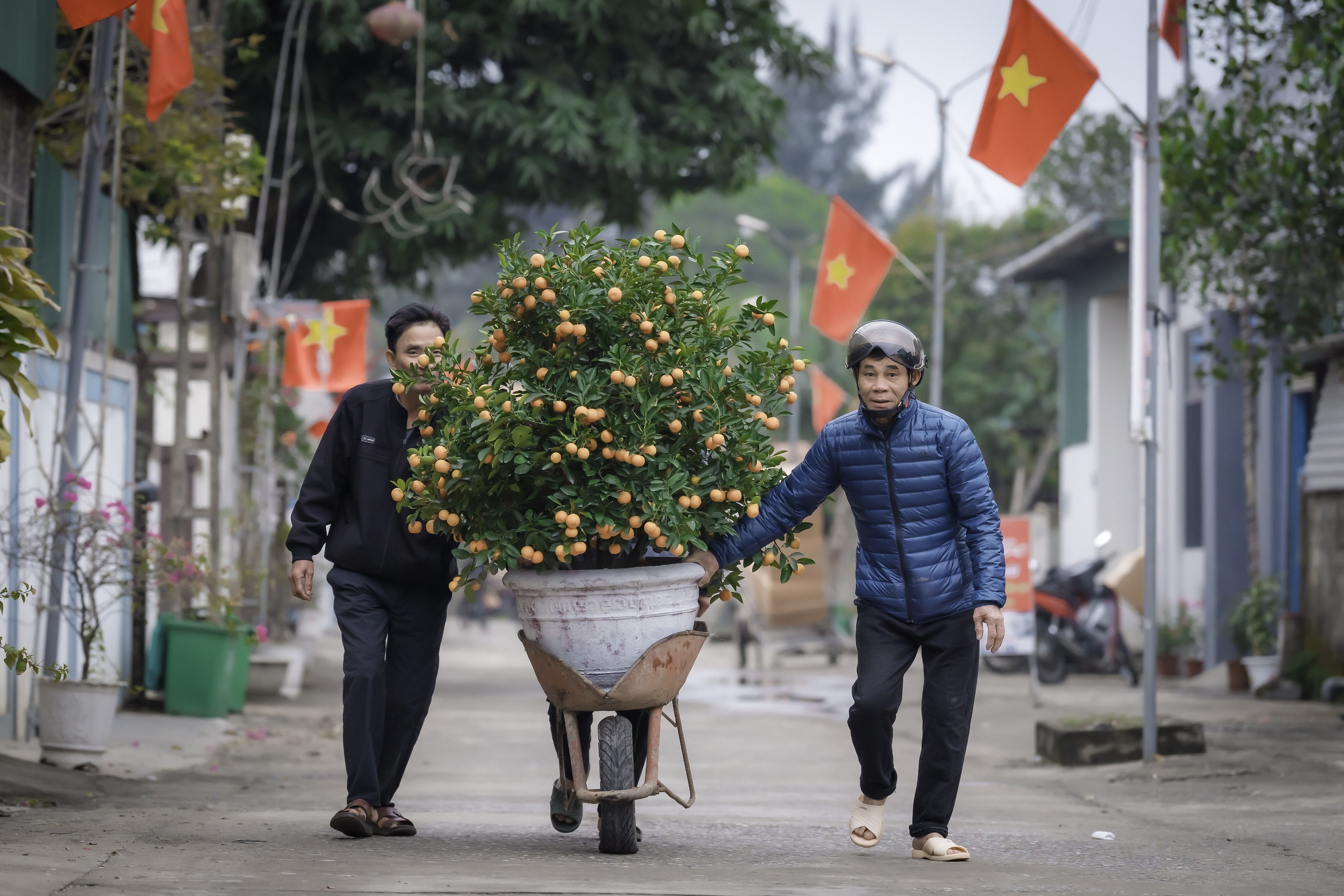 Đón xuân. Ảnh: VŨ MINH HIỂN