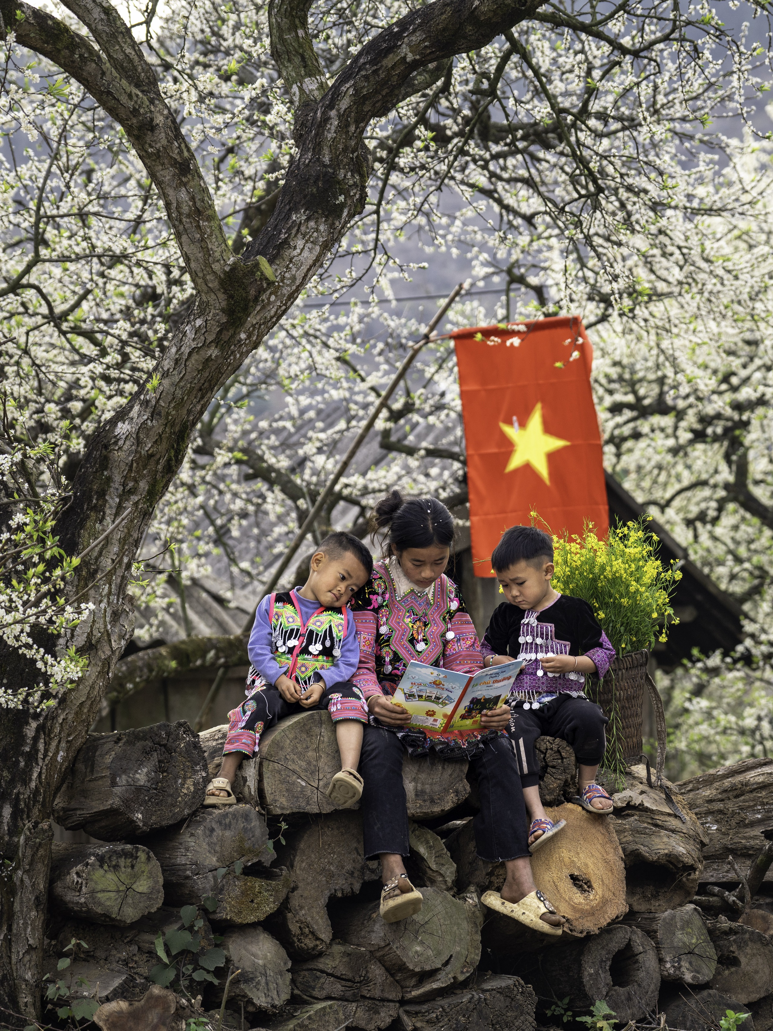 Sắc xuân, sắc tri thức. Ảnh: VŨ MINH HIỂN