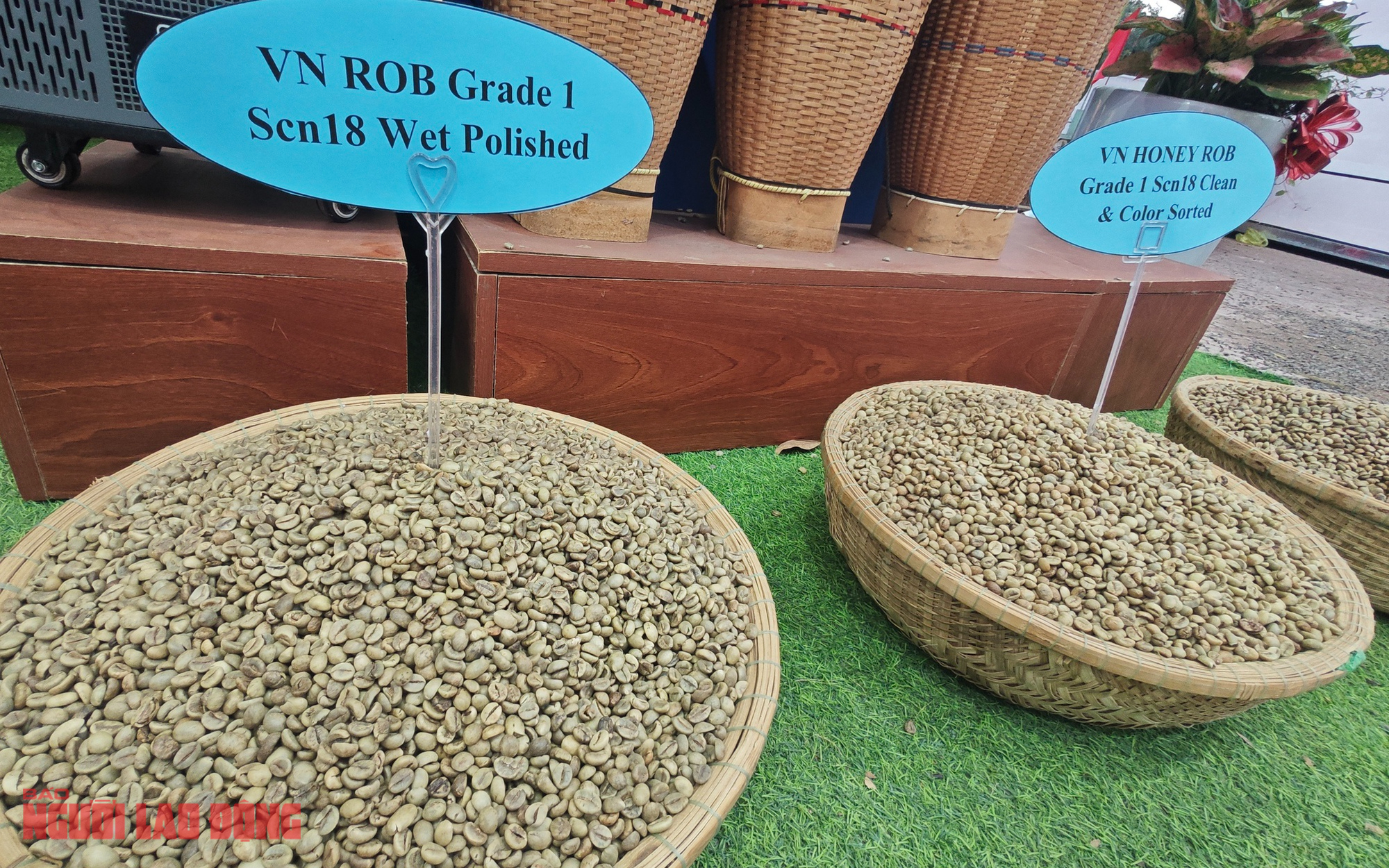 Giá cà phê hôm nay 12-3: Tăng dữ dội