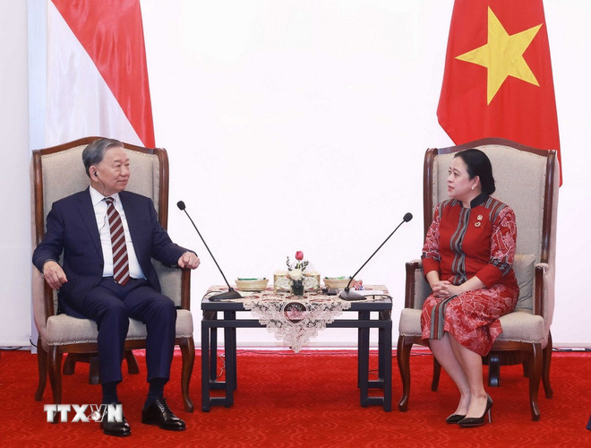 Tổng B&iacute; thư T&ocirc; L&acirc;m hội kiến Chủ tịch Hội đồng Đại biểu nh&acirc;n d&acirc;n Indonesia- Ảnh 2.