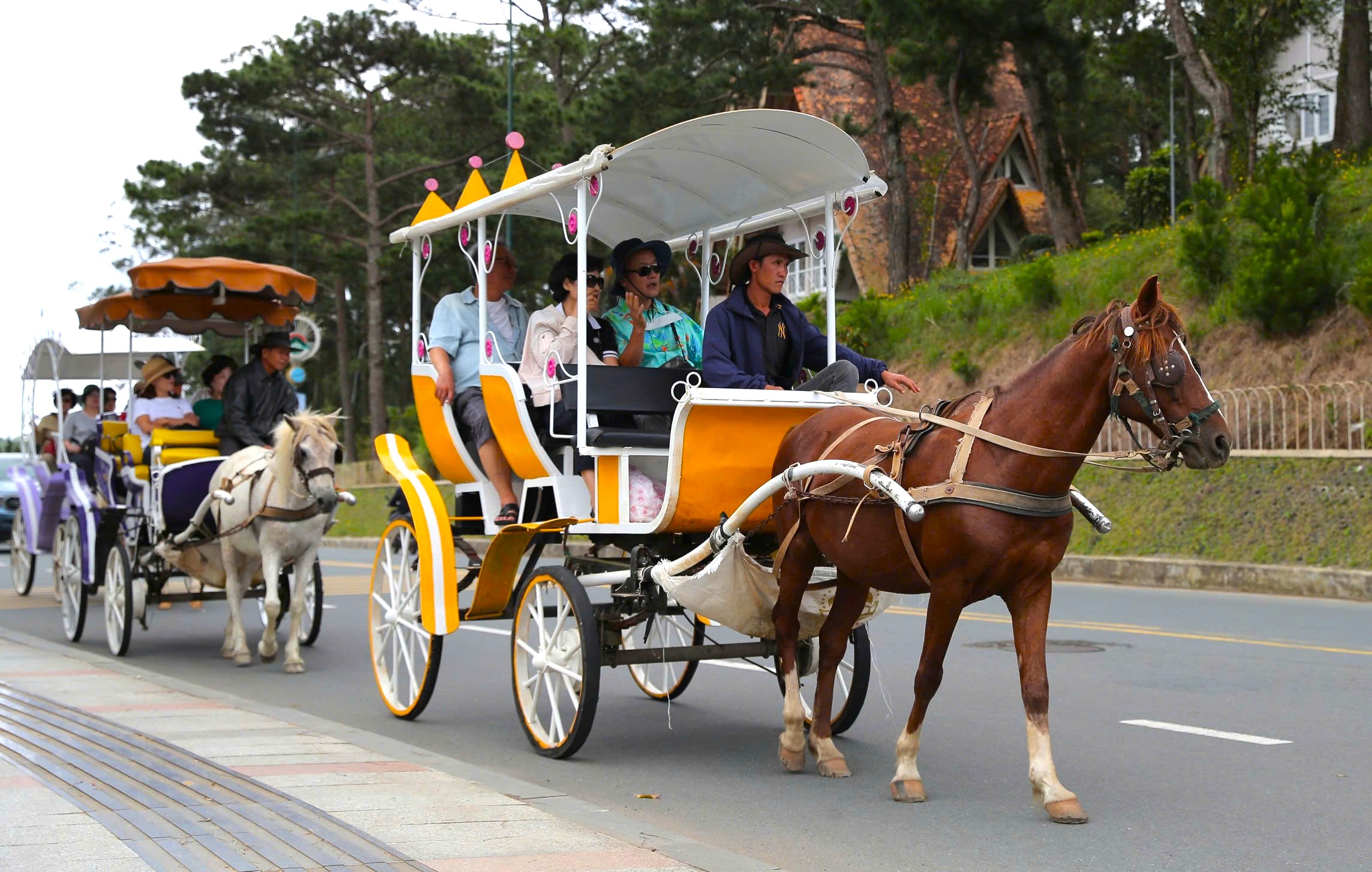 Đ&agrave; Lạt n&oacute;i về việc dừng xe điện, xe ngựa quanh hồ Xu&acirc;n Hương- Ảnh 2.