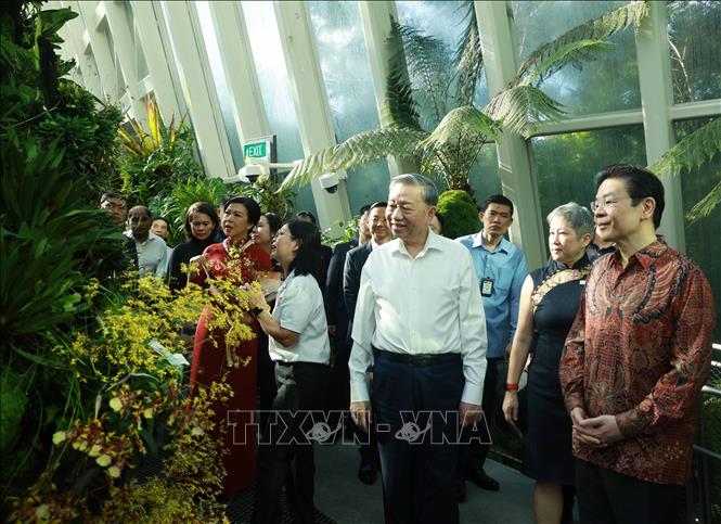 Tổng B&iacute; thư T&ocirc; L&acirc;m v&agrave; Phu nh&acirc;n dự Lễ đặt t&ecirc;n hoa lan tại Vườn thực vật Singapore- Ảnh 9.