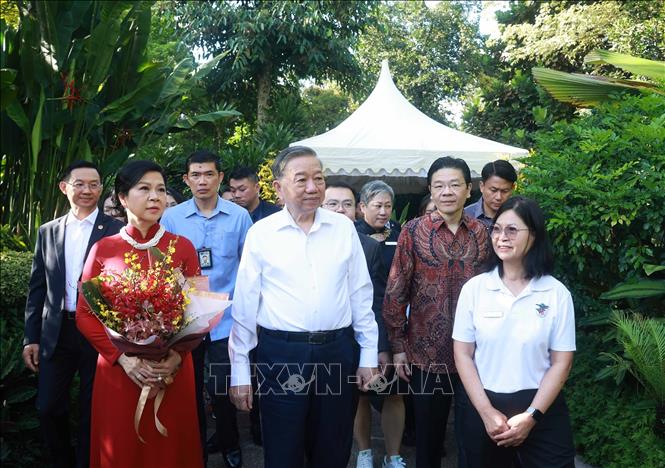 Tổng B&iacute; thư T&ocirc; L&acirc;m v&agrave; Phu nh&acirc;n dự Lễ đặt t&ecirc;n hoa lan tại Vườn thực vật Singapore- Ảnh 1.