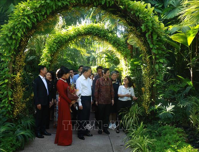 Tổng B&iacute; thư T&ocirc; L&acirc;m v&agrave; Phu nh&acirc;n dự Lễ đặt t&ecirc;n hoa lan tại Vườn thực vật Singapore- Ảnh 3.