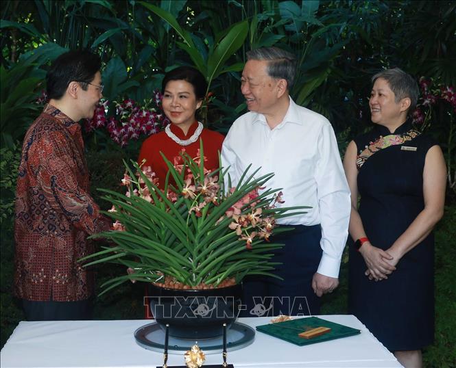 Tổng B&iacute; thư T&ocirc; L&acirc;m v&agrave; Phu nh&acirc;n dự Lễ đặt t&ecirc;n hoa lan tại Vườn thực vật Singapore- Ảnh 4.