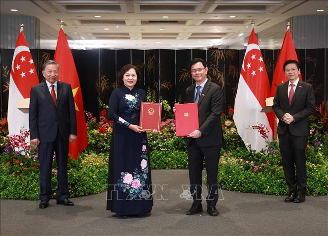 Tổng B&iacute; thư T&ocirc; L&acirc;m v&agrave; Thủ tướng Singapore chứng kiến trao c&aacute;c văn kiện hợp t&aacute;c giữa hai nước- Ảnh 3.