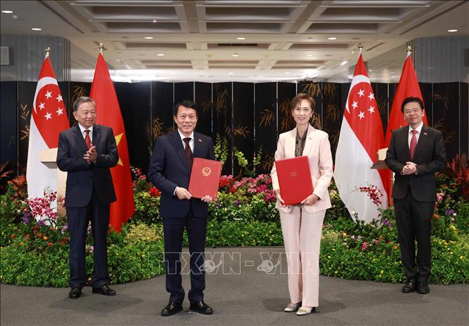 Tổng B&iacute; thư T&ocirc; L&acirc;m v&agrave; Thủ tướng Singapore chứng kiến trao c&aacute;c văn kiện hợp t&aacute;c giữa hai nước- Ảnh 4.