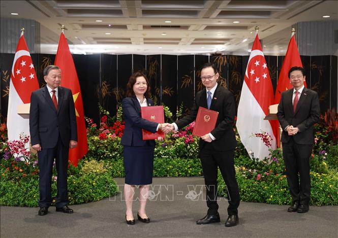 Tổng B&iacute; thư T&ocirc; L&acirc;m v&agrave; Thủ tướng Singapore chứng kiến trao c&aacute;c văn kiện hợp t&aacute;c giữa hai nước- Ảnh 6.