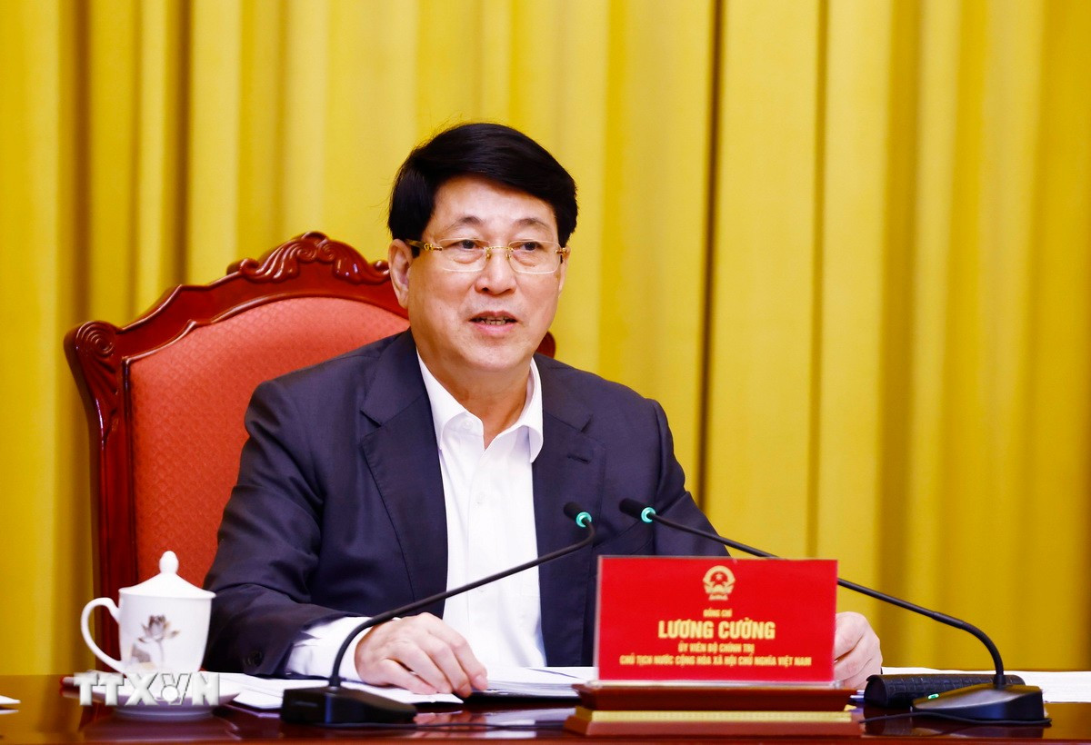 Chủ tịch nước: Hoạt động đối ngoại cấp cao c&oacute; &yacute; nghĩa định hướng chiến lược- Ảnh 5.