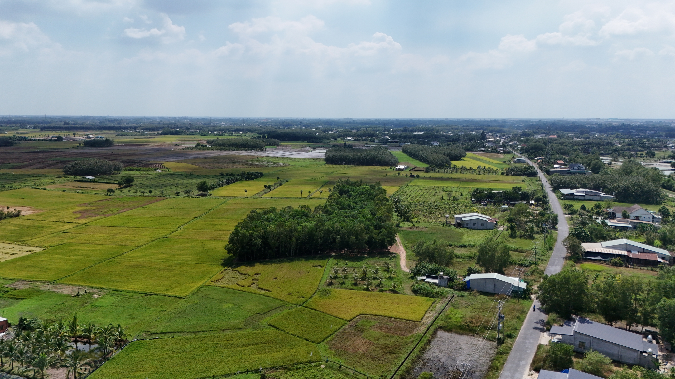 Quyền Chủ tịch UBND tỉnh T&acirc;y Ninh chỉ đạo quan trọng về ph&aacute;t triển kinh tế - x&atilde; hội năm 2025- Ảnh 2.
