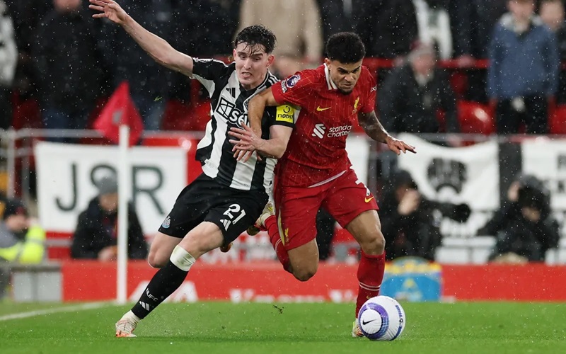 Soi tỉ số trận Liverpool - Newcastle United: Bắn hạ Chim ch&iacute;ch ch&ograve;e