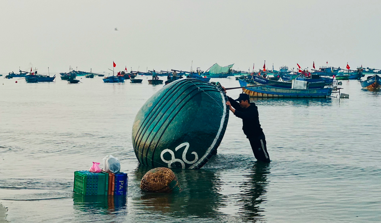 Đ&agrave; Nẵng: Ruốc biển khan hiếm, hơn 7 triệu đồng/tạ vẫn kh&ocirc;ng c&oacute; m&agrave; mua- Ảnh 4.