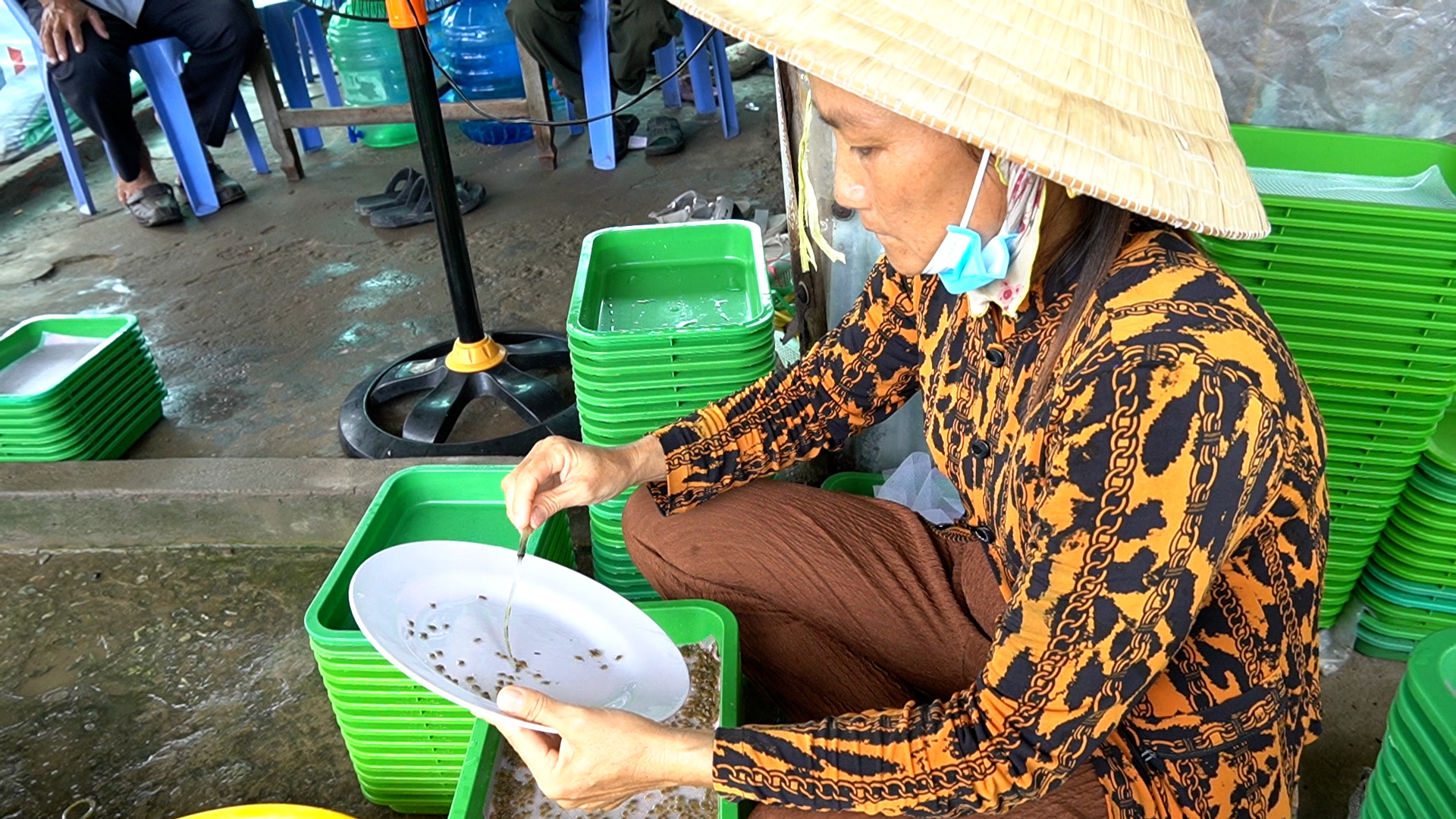 Tuyệt chi&ecirc;u đếm cua, xem qua kh&ocirc;ng khỏi ngỡ ng&agrave;ng - Ảnh 4.