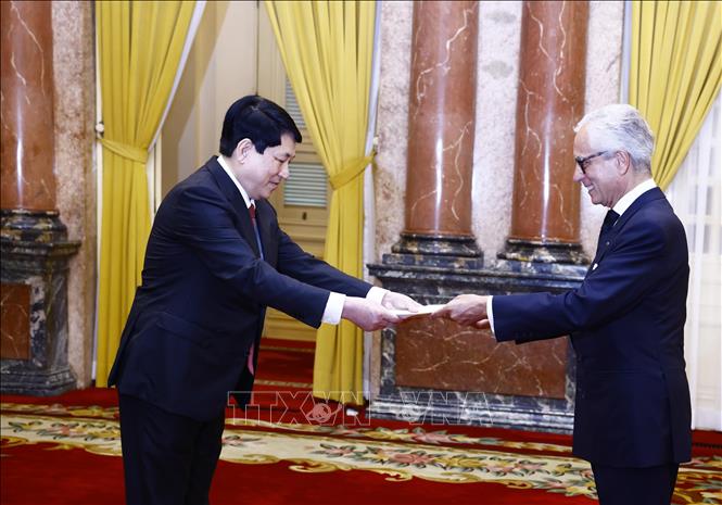 Chủ tịch nước Lương Cường tiếp Đại sứ các nước
trình Quốc thư- Ảnh 3.