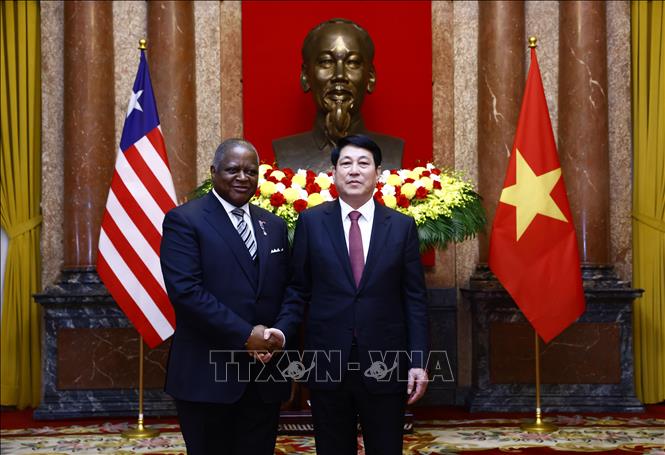 Chủ tịch nước Lương Cường tiếp Đại sứ các nước
trình Quốc thư- Ảnh 12.