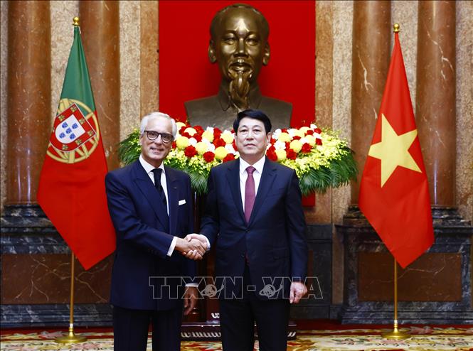 Chủ tịch nước Lương Cường tiếp Đại sứ các nước
trình Quốc thư- Ảnh 4.