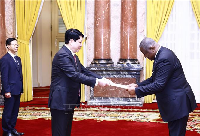 Chủ tịch nước Lương Cường tiếp Đại sứ các nước
trình Quốc thư- Ảnh 11.