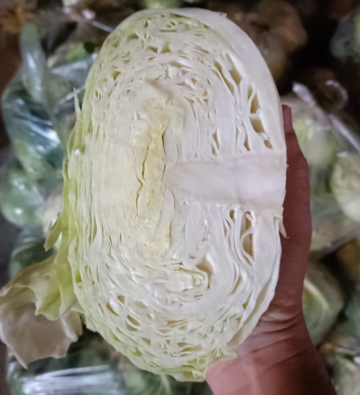 C&ocirc;ng nh&acirc;n KCX T&acirc;n Thuận v&agrave; c&acirc;u chuyện "giải cứu" bắp cải đầy x&uacute;c động- Ảnh 2.
