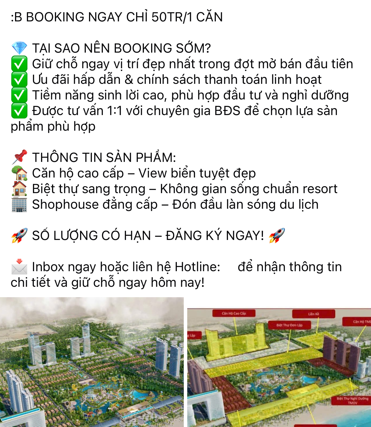 Ngang nhi&ecirc;n rao b&aacute;n "si&ecirc;u dự &aacute;n đ&ocirc; thị biển Vũng T&agrave;u" khi chưa c&oacute; nh&agrave; đầu tư- Ảnh 1.