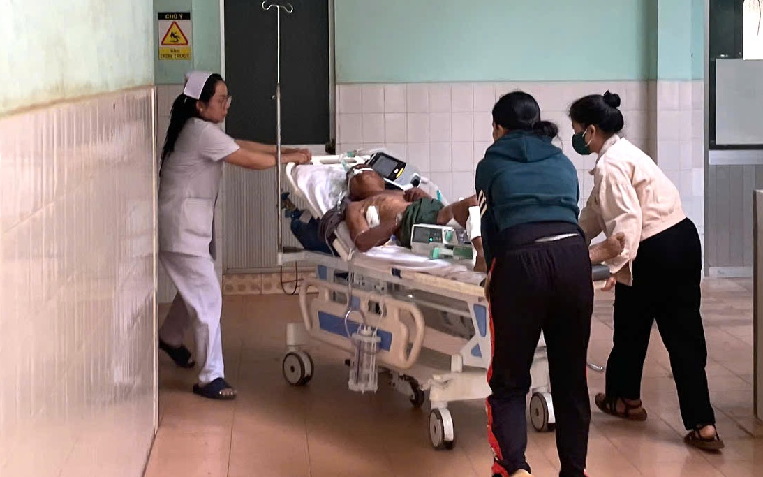 Cụ ông 77 tuổi bị trâu húc nguy kịch