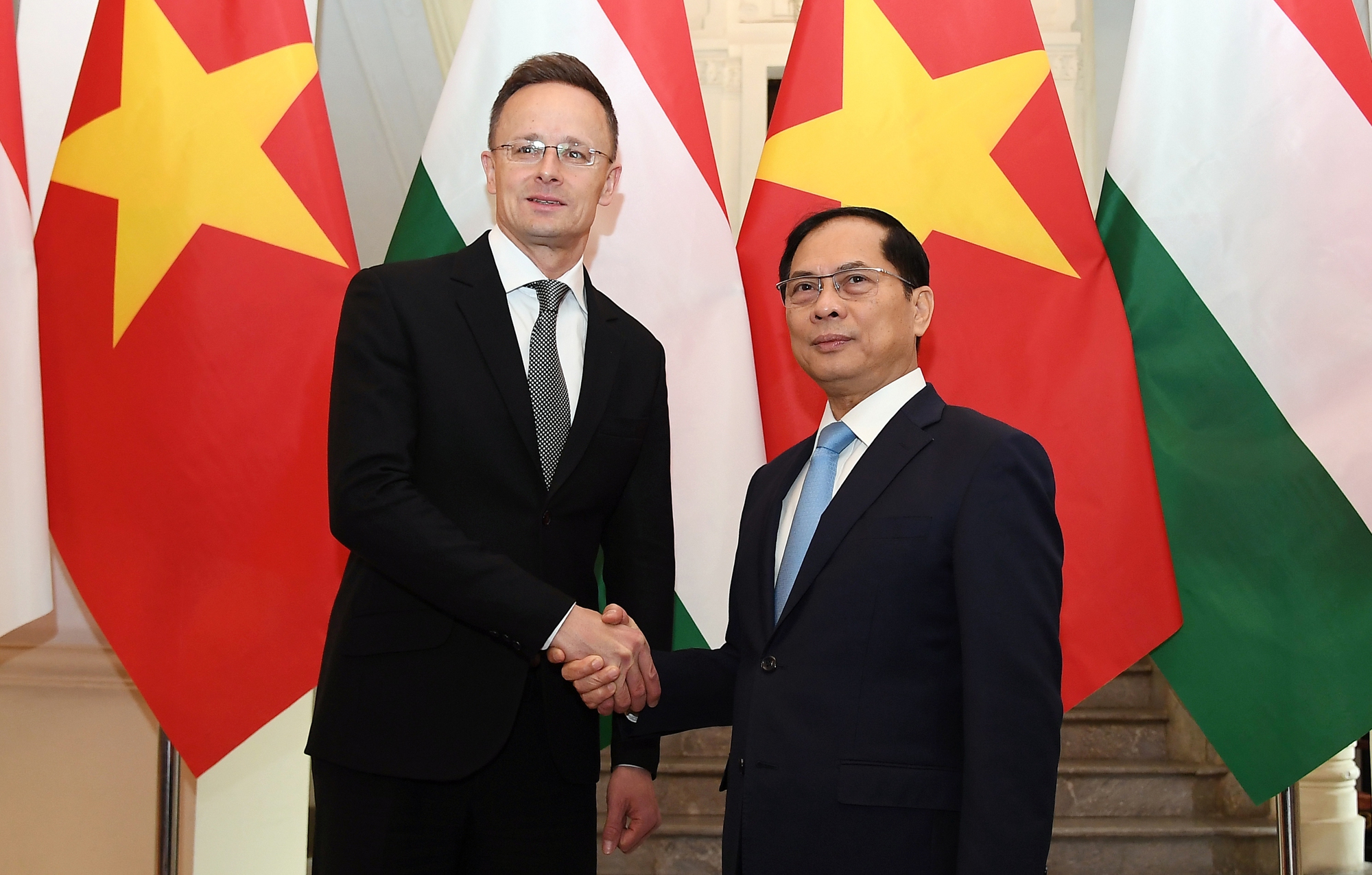 Hungary sẵn sàng giúp Việt Nam đào tạo chuyên gia vận hành điện hạt nhân- Ảnh 5.