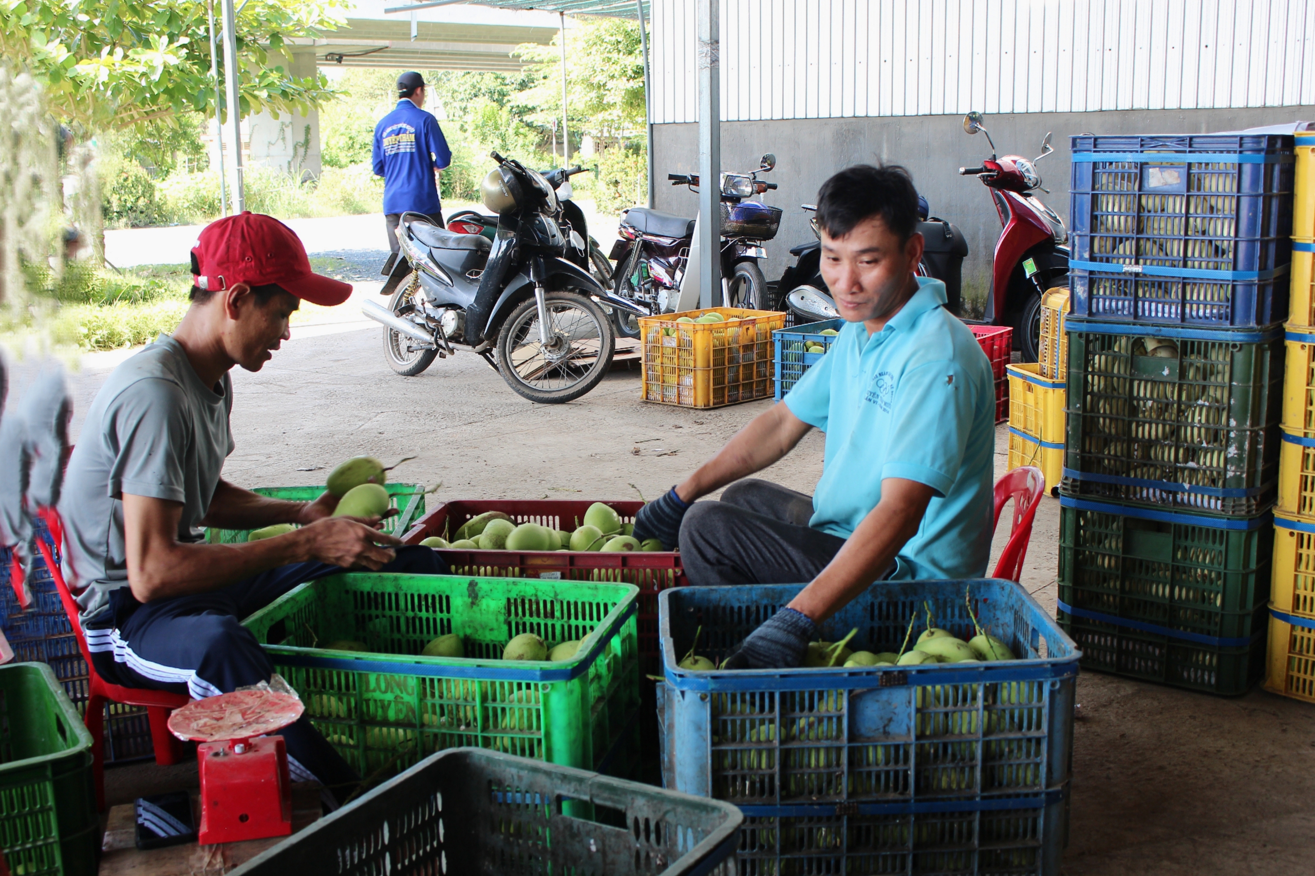 N&ocirc;ng d&acirc;n Đồng Th&aacute;p thay đổi tư duy sản xuất, c&ugrave;ng nhau b&agrave;n chuyện l&agrave;m ăn- Ảnh 1.