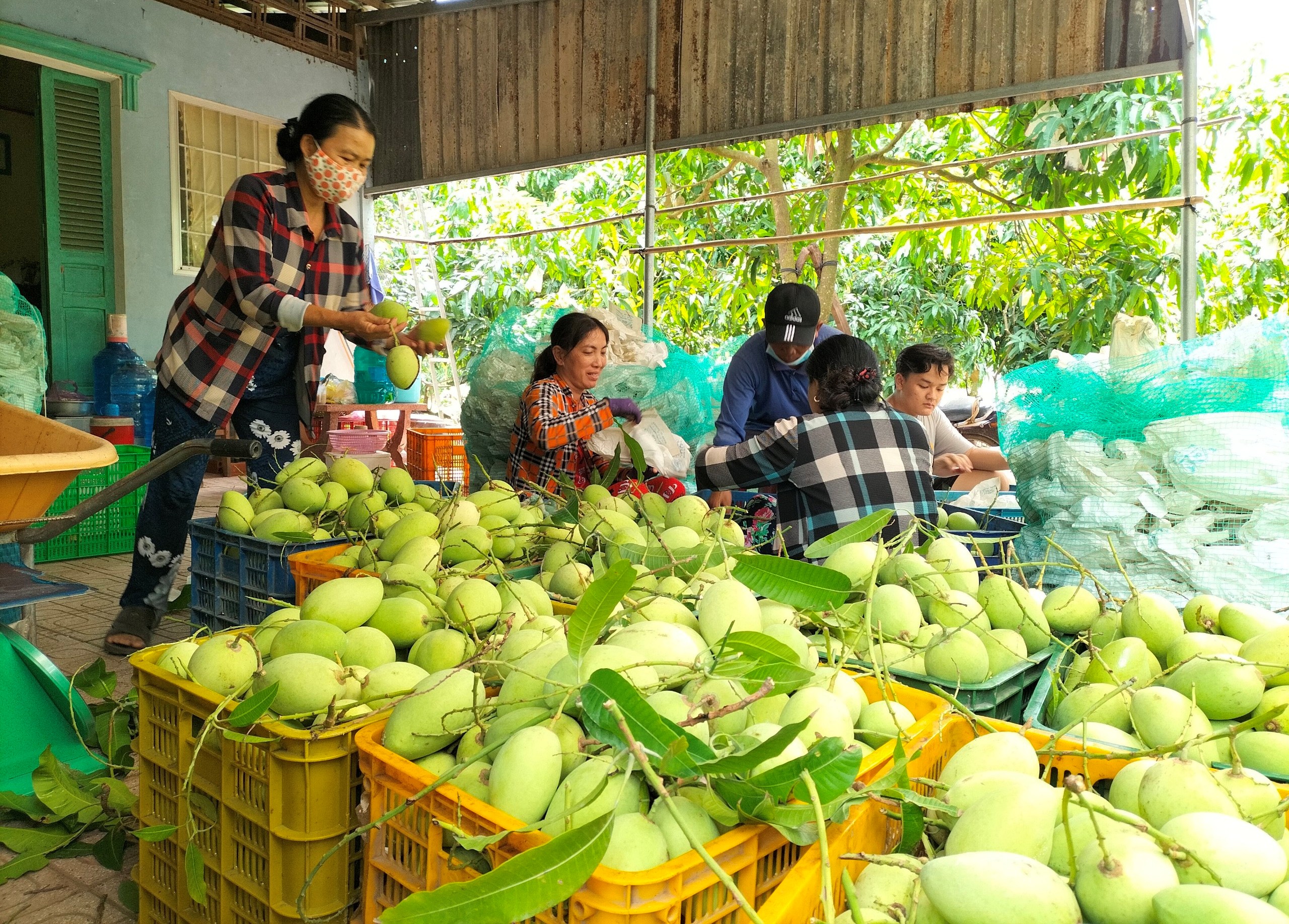 N&ocirc;ng d&acirc;n Đồng Th&aacute;p thay đổi tư duy sản xuất, c&ugrave;ng nhau b&agrave;n chuyện l&agrave;m ăn- Ảnh 4.