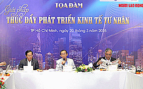 Giải pháp thúc đẩy phát triển kinh tế tư nhân