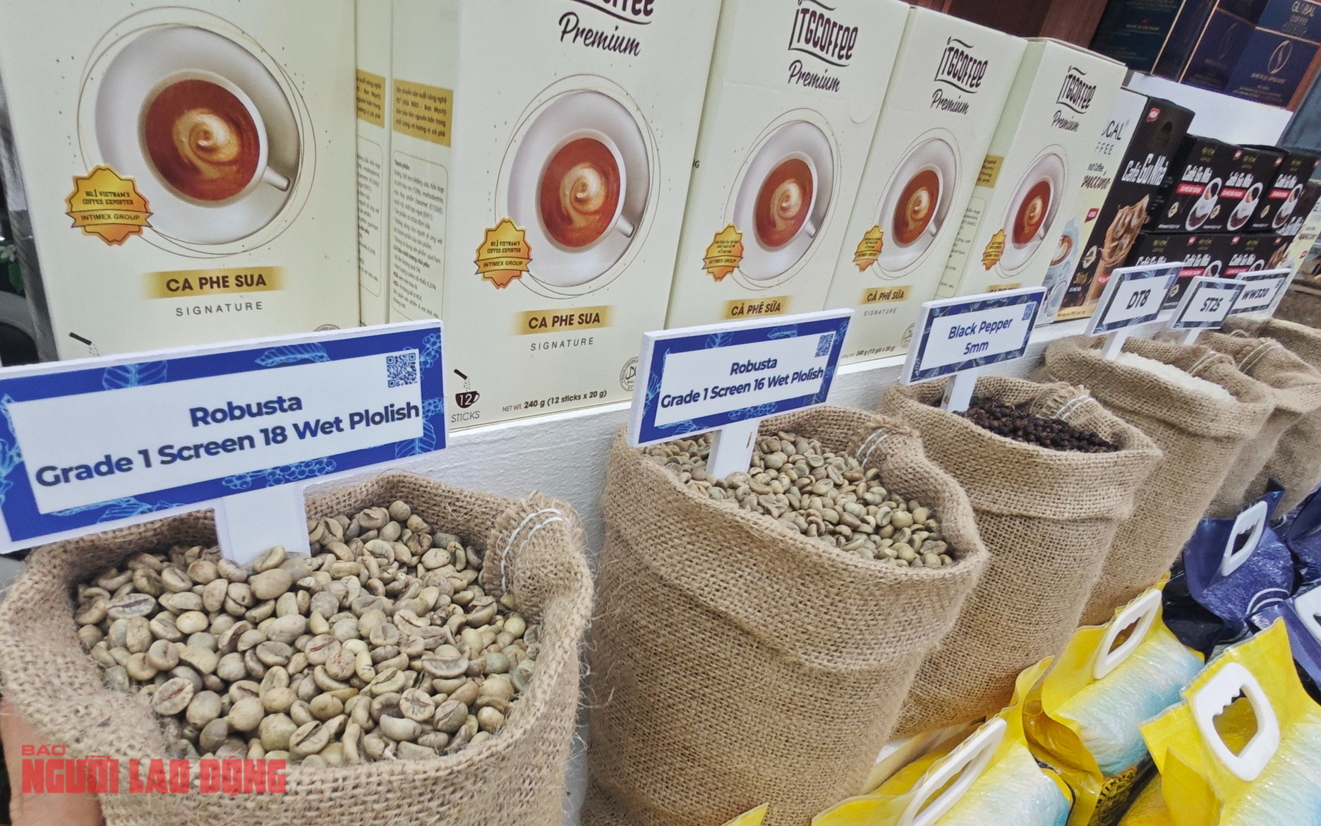 Giá cà phê hôm nay 21-3: Đỉnh cao cho đến khi nào?