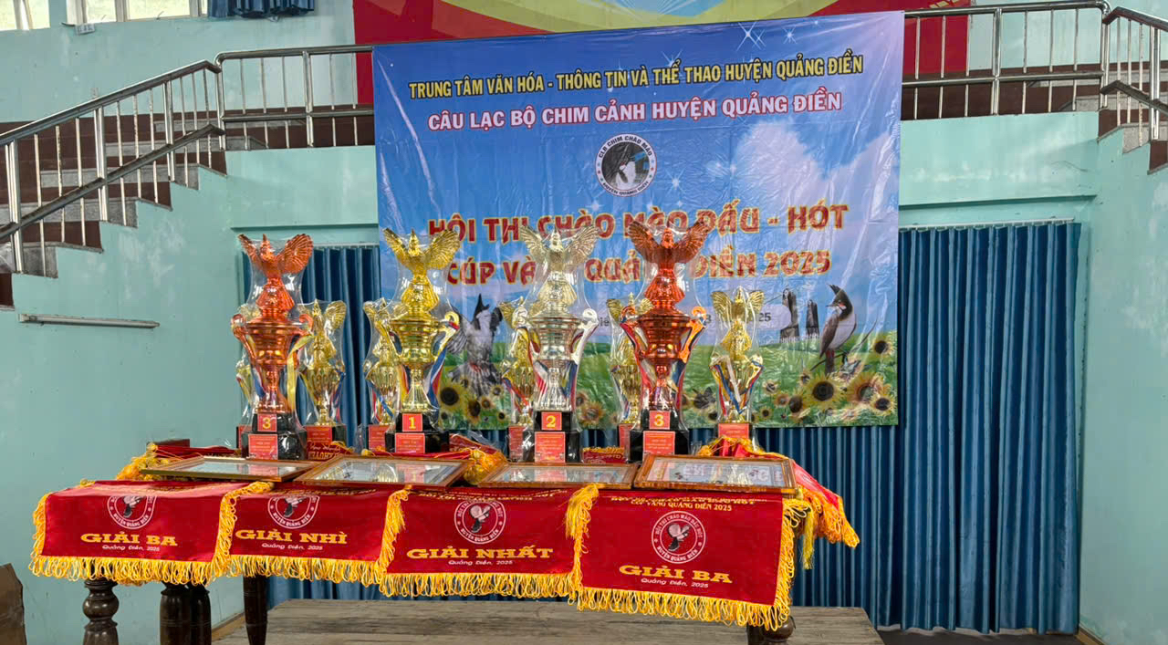 Sở không ủng hộ hội thi chim chào mào, ở huyện vẫn thi công khai- Ảnh 2.